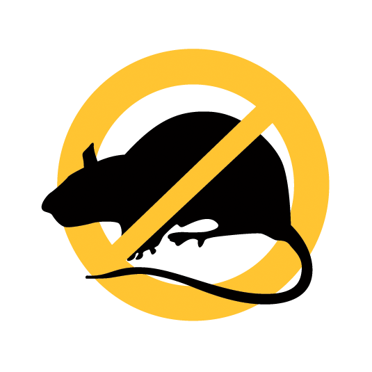 exterminar roedores san juan argentina todo plagas